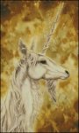 (image for) Unicorn Portrait